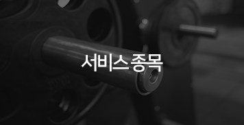 서비스 종목