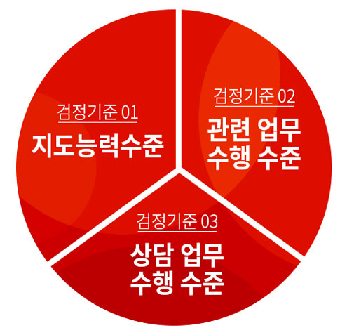 검정기준01 : 지도능력수준 / 검정기준02 : 관련 업무 수행 수준 / 검정기준03 : 상담 업무 수행 수준